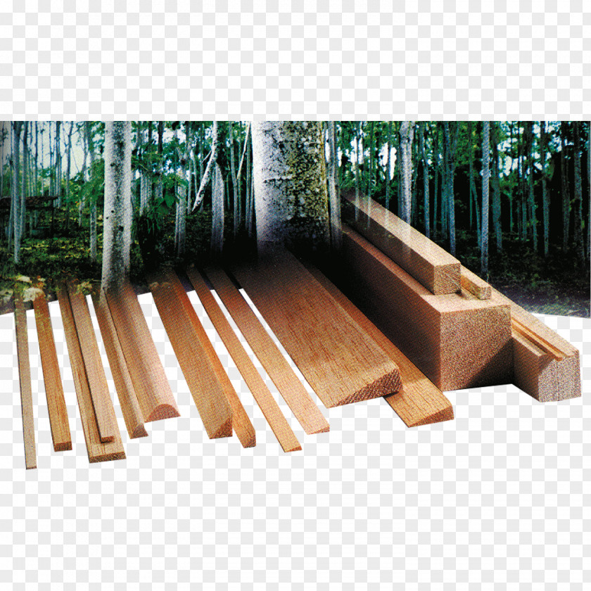 Solid Wood Stripes Ochroma Pyramidale Lumber Plywood Graupner Plank PNG