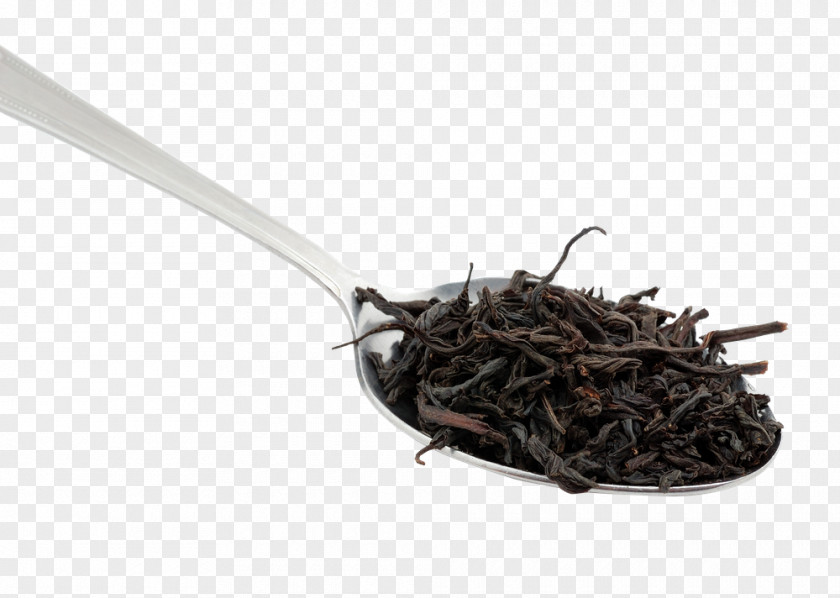 Tea Spoon Nilgiri Da Hong Pao Plant PNG