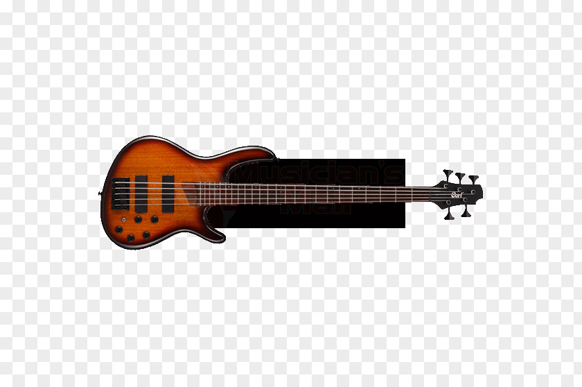 Bass Guitar Musical Instruments String Electric PNG