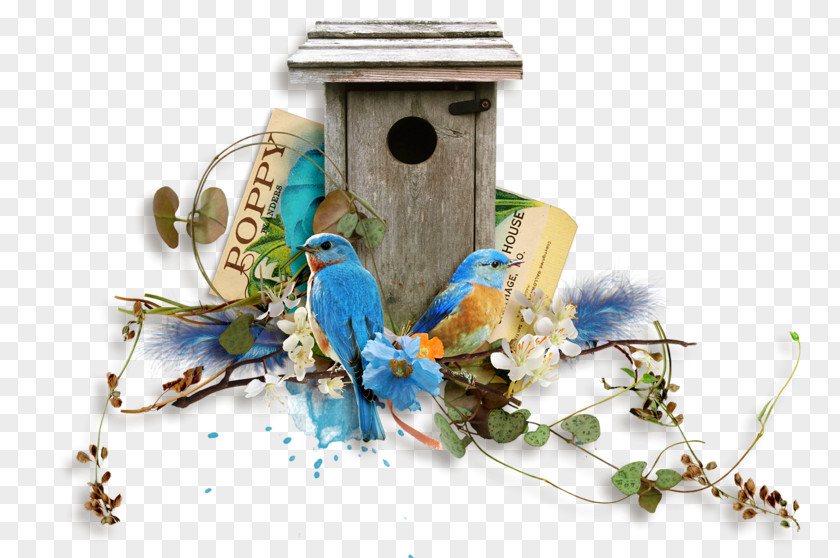 Bird Nest Box Clip Art PNG