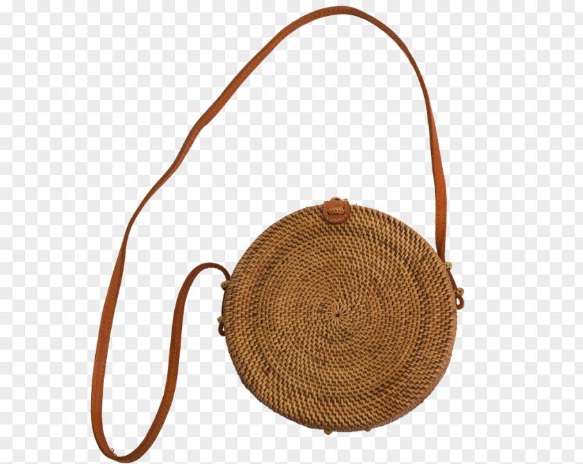 Ecologia Bag ESdiario PNG