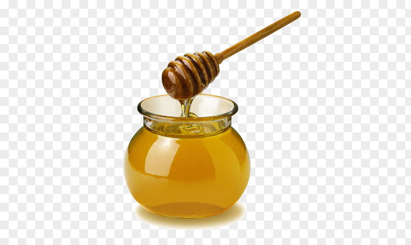 Honey Food Sugar Substitute Sweetness PNG
