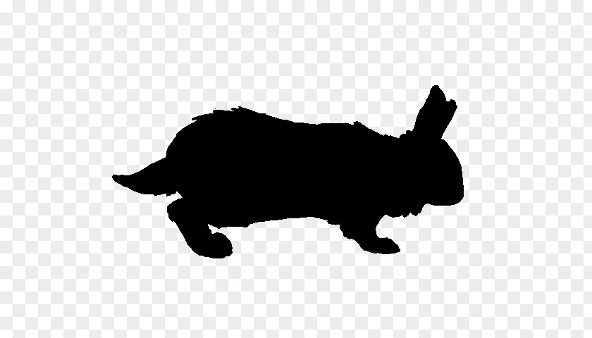 M Canidae Domestic Rabbit Dog Hare Black & White PNG