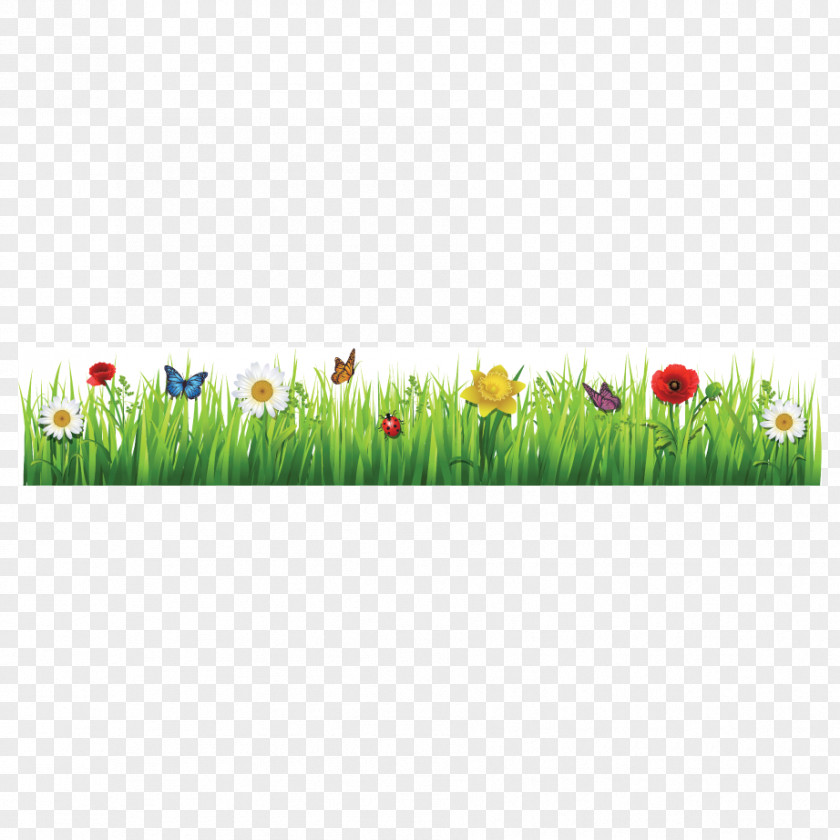 Tulip Flower Meadow Clip Art PNG