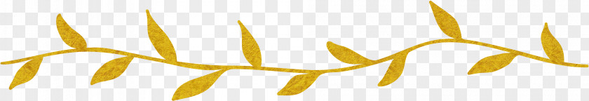 Yellow Leaves Dividing Line PNG leaves dividing line clipart PNG