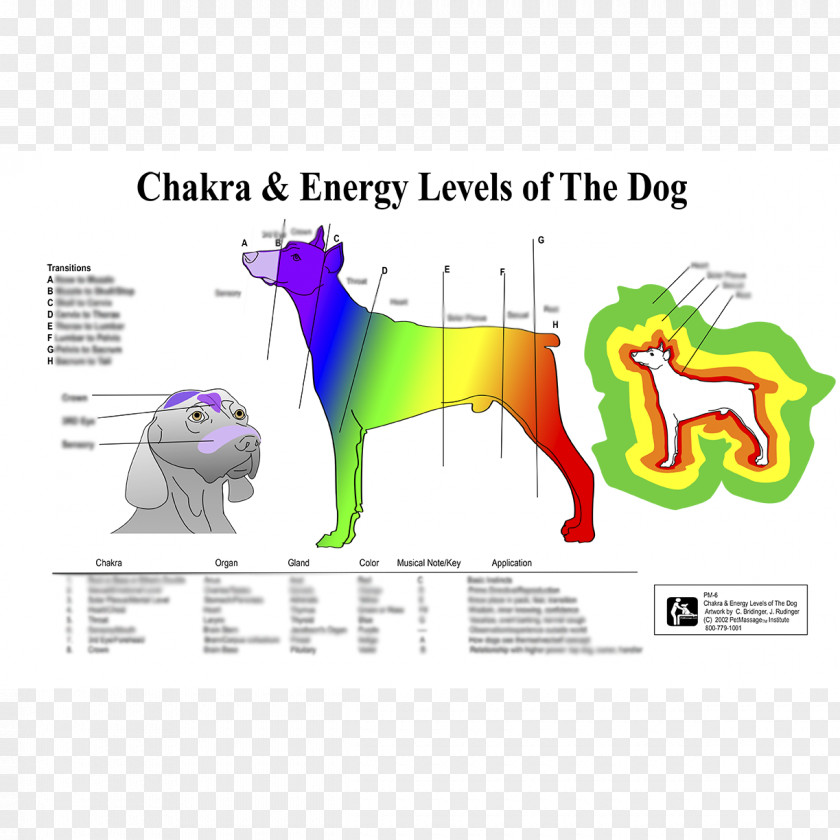 Chakra Dog Horse Pet Reiki PNG