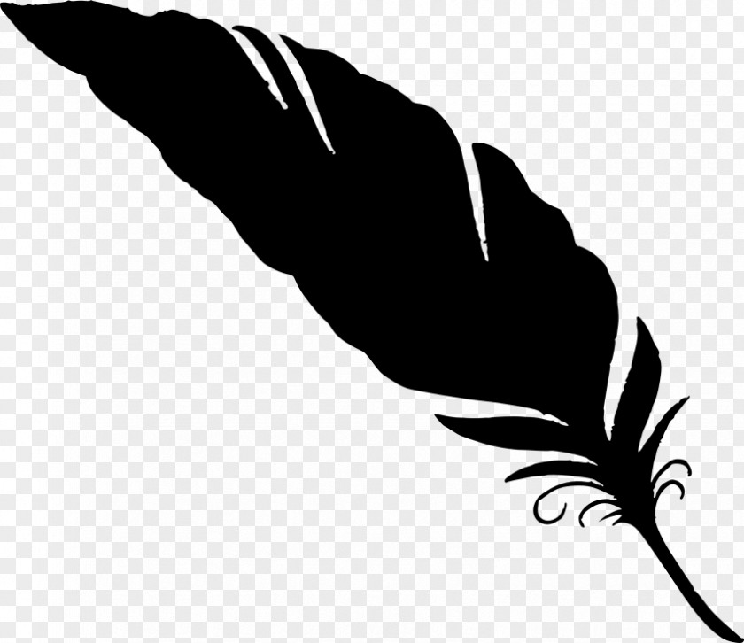 Feather Owl Clip Art PNG