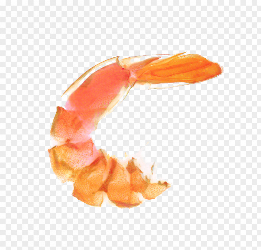 Finger Orange Fried Rice PNG