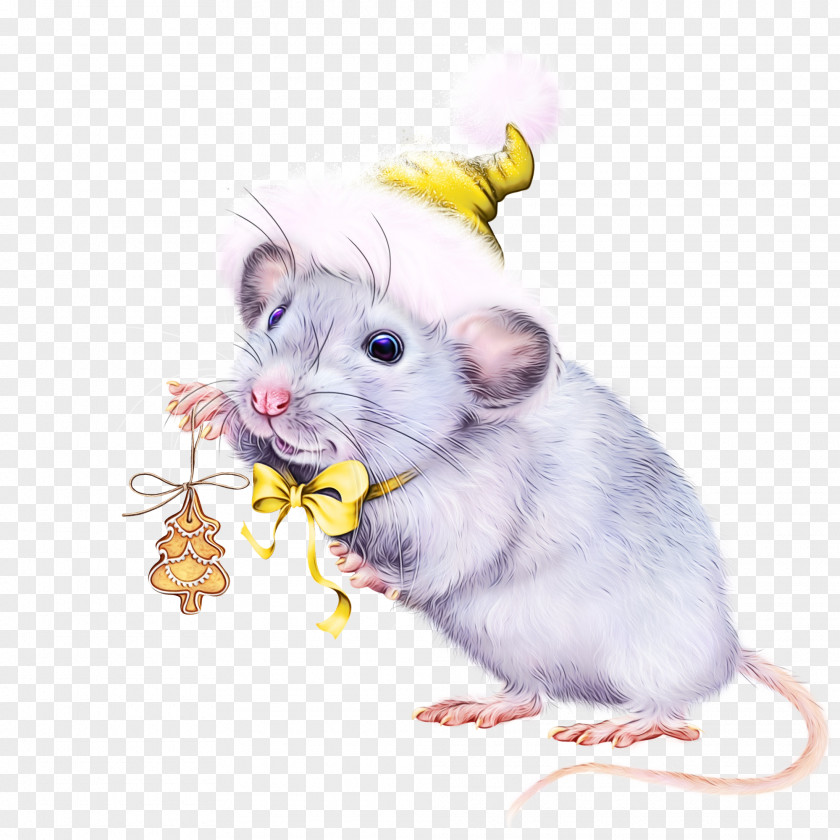 Grasshopper Mouse Chinchilla Hamster PNG
