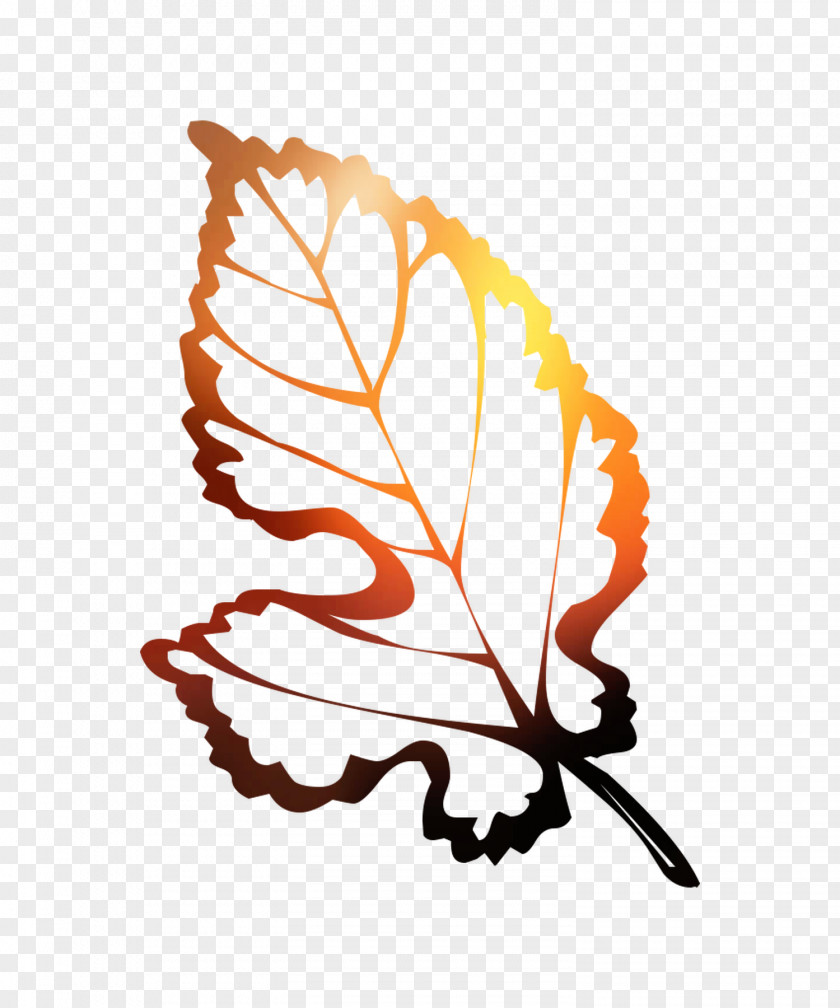 Illustration Autumn Coloring Book Leaf PNG