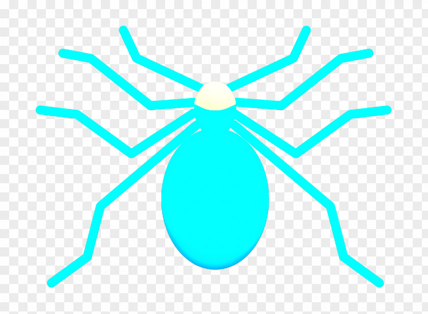 Insects Icon Spider PNG