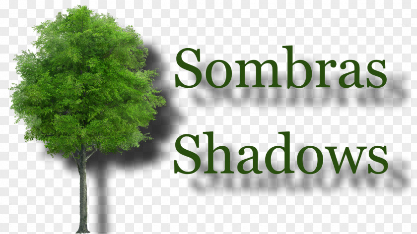 Tree Shadow Мысли, создающие жизнь без старения Book Tabletop Games & Expansions Street PNG
