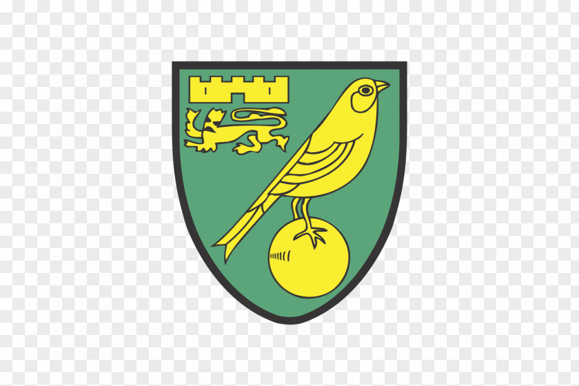 Football Logo Norwich City F.C. Carrow Road Premier League Newcastle United English PNG