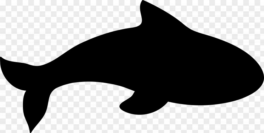 M Clip Art Whiskers Cat Dolphin Black & White PNG
