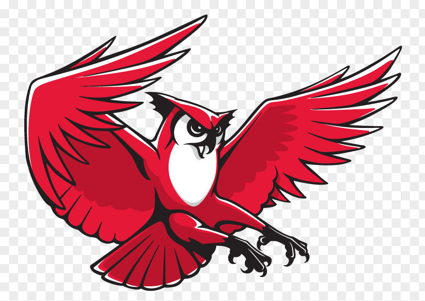 Owl Keene State College Owls Men's Basketball Kennesaw University Logo PNG