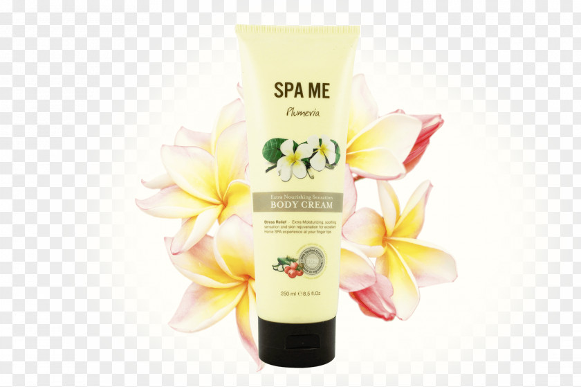 Plumeria Lotion Cream Shea Butter Almond Oil Skin Care PNG