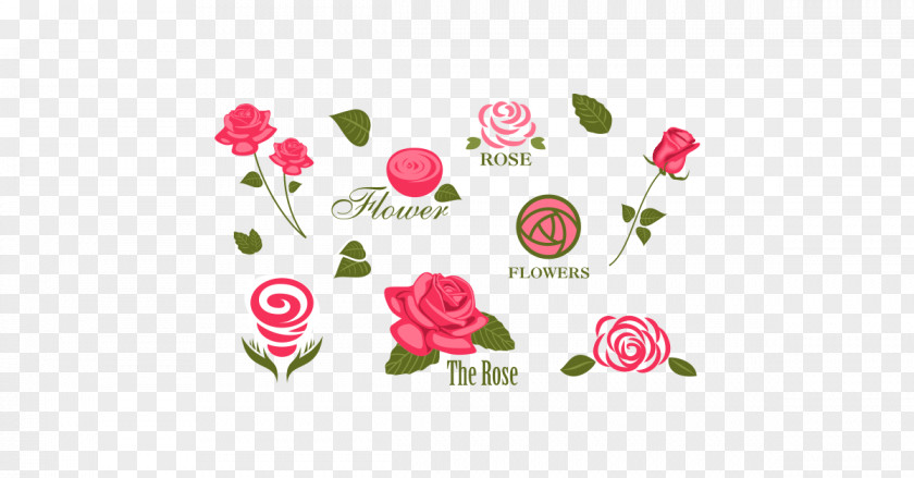 Rose Vector Logo Flower PNG