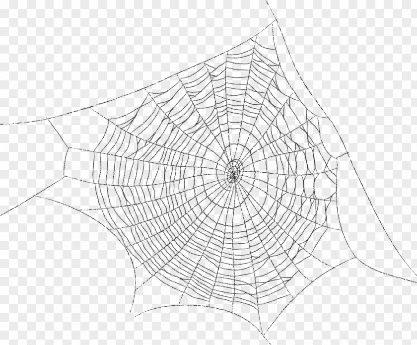 на прозрачном фоне Spider Web Symmetry Pattern PNG