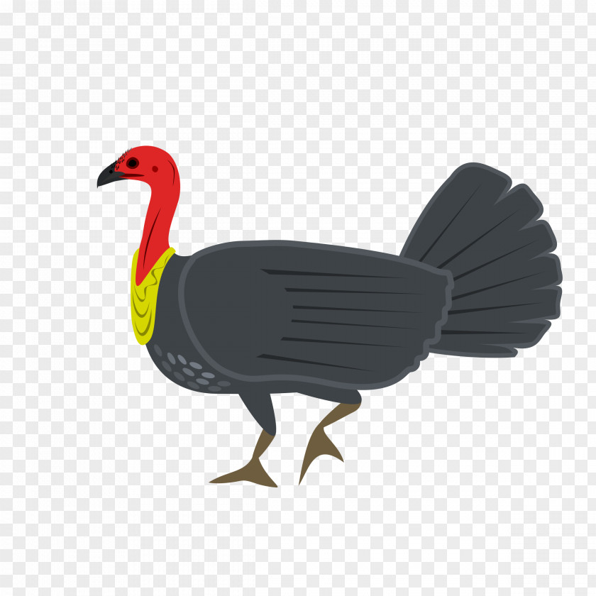 Turkey Bird Australian Brushturkey Clip Art PNG