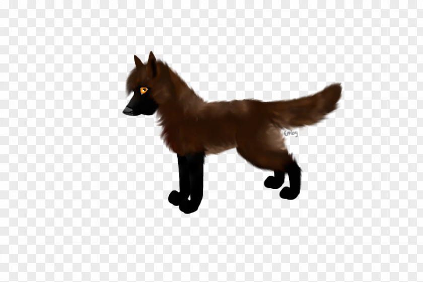 Wolf Avatar Mustang Stallion Halter Dog Mammal PNG