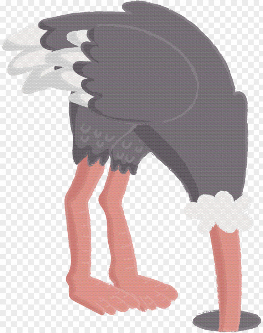 Fictional Character Flightless Bird Cartoon PNG