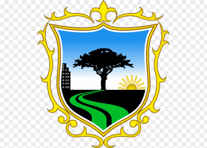 Municipality Of San Borja Sur Santiago De Surco Miss Perú 1986 1984 PNG