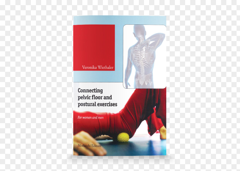 Woman Connecting Pelvic Floor And Postural Exercises. For Women Men. Con DVD Perineum Pelvis Dalla Ginnastica Pelvica Alla Ginnastiva Vertebrale. Per Donne E Uomini. PNG