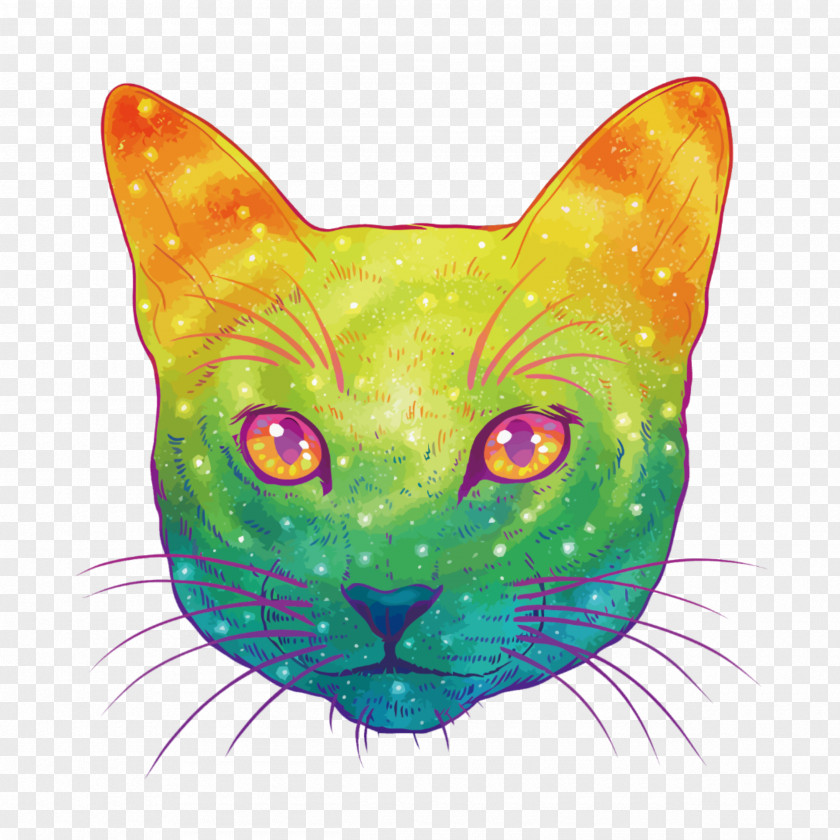 Cat Kitten Felidae Vector Graphics Drawing PNG