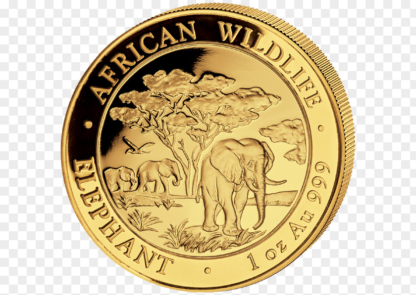 Coin Gold Elephantidae Somalia PNG