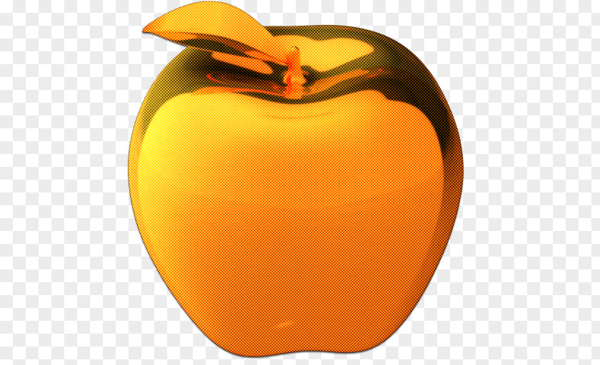 Lid Artifact Orange PNG