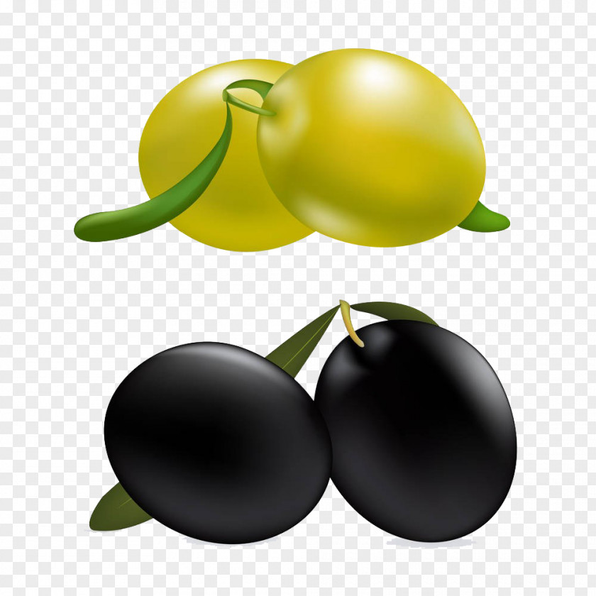 Olive Vector Euclidean Illustration PNG