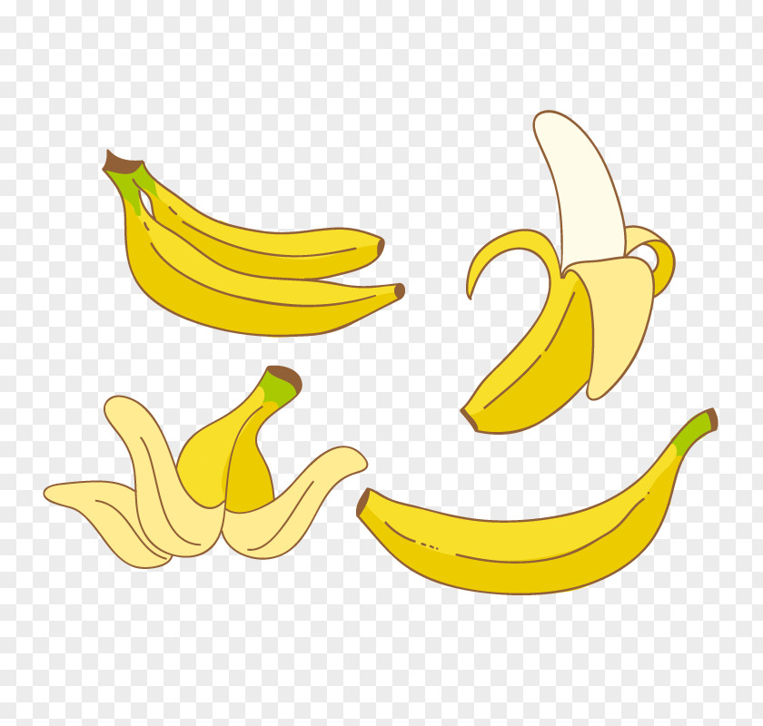 Vector Banana Shape Euclidean PNG