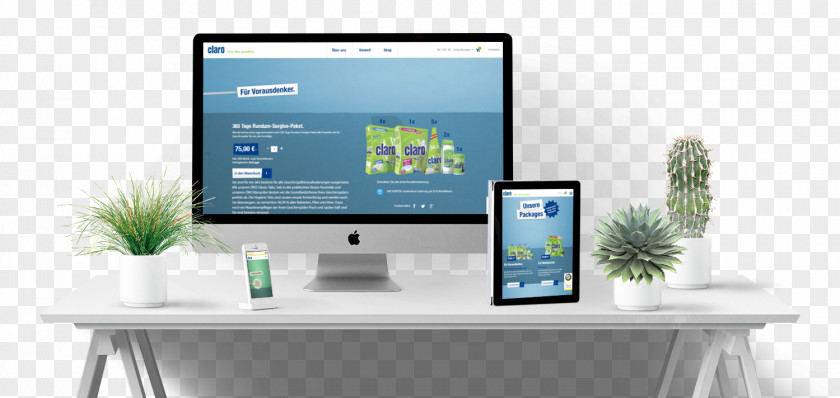 Websites, Webshops & Online Marketing LOWA Sportschuhe GmbH Enterprise Resource Planning MagentoDesign N!N Pro PNG