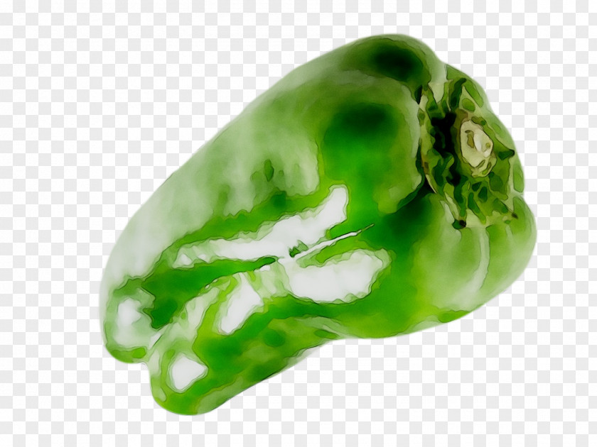 Bell Pepper Chili Peppers PNG