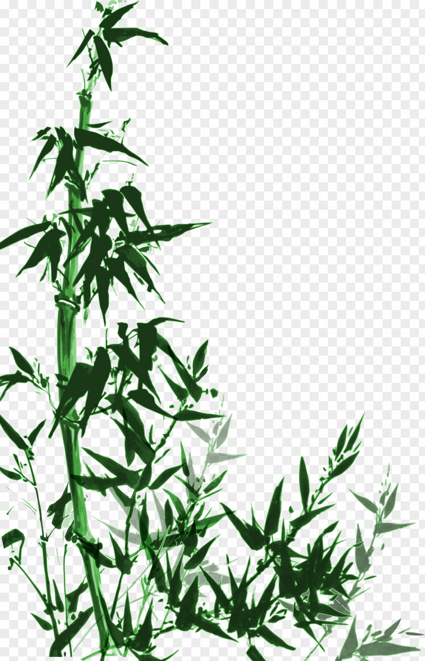 Chinese Style Hand-painted Green Bamboo Vector Material China PNG