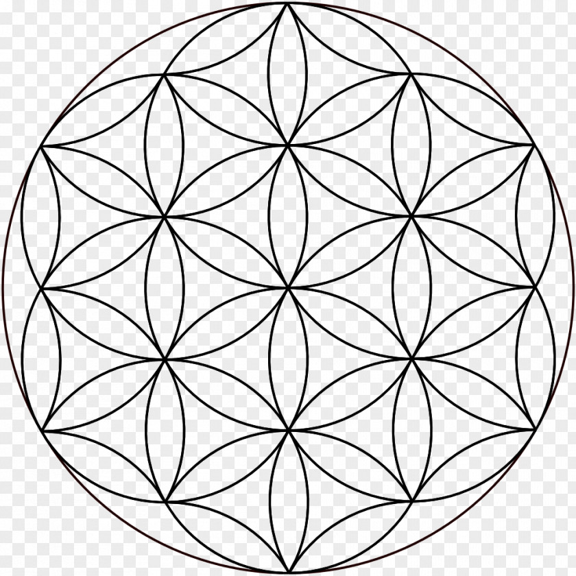 Circle Overlapping Circles Grid Sacred Geometry Vitruvian Man PNG