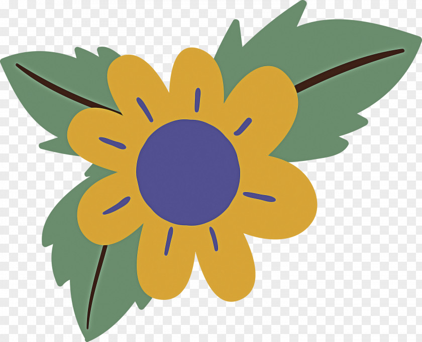 Common Sunflower Seed Yellow PNG