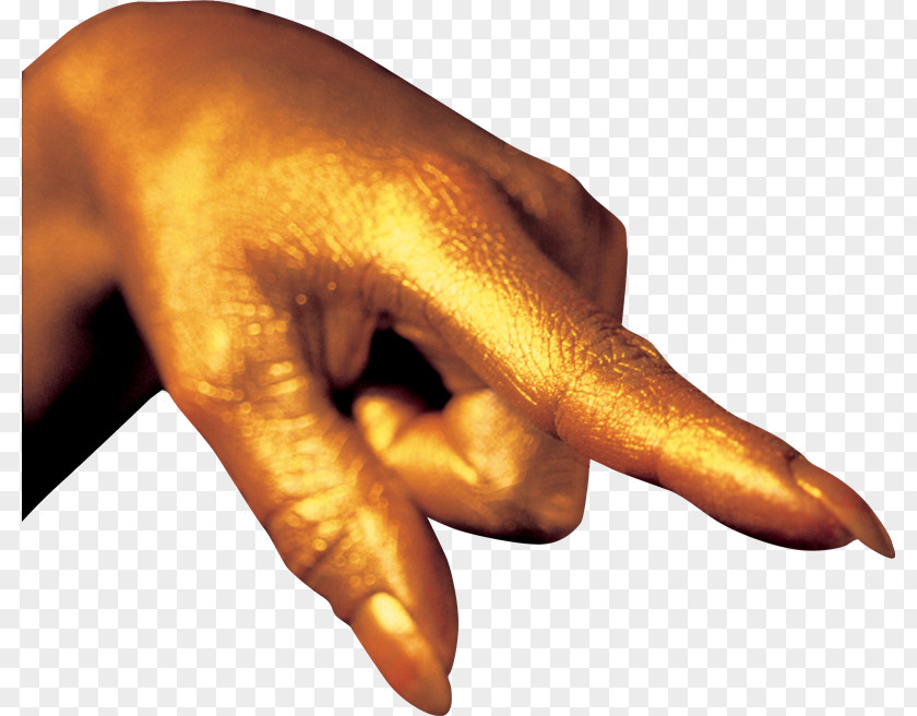 Hand Upper Limb Index Finger PNG limb finger , hand clipart PNG