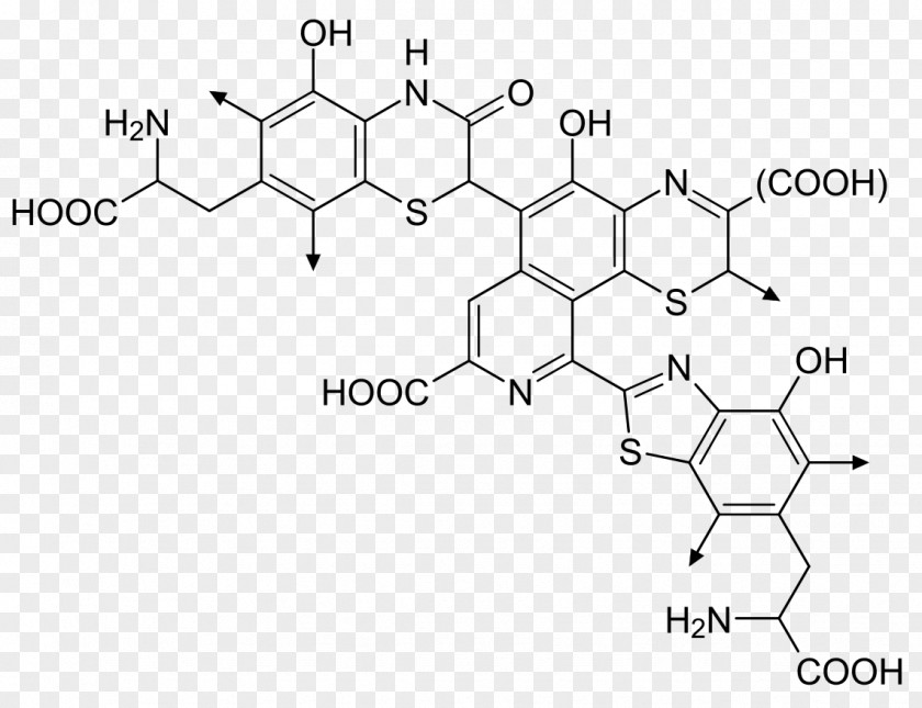 Melanin Feomelanin Human Skin Color Molecule PNG