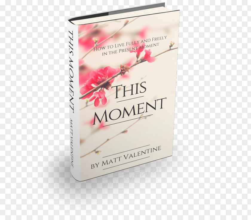 Mindfulness And Meditation Product Book Live Fully Freely Present PNG