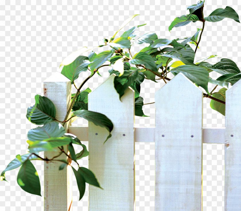 White Plant Fence Vine Leaf Flowerpot PNG