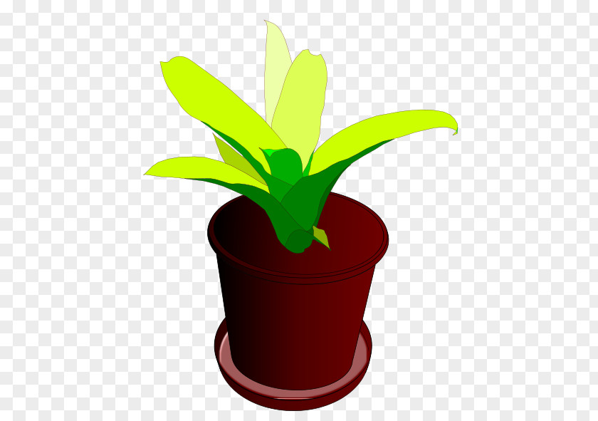 Beautiful Plant Cliparts Houseplant Flowerpot Clip Art PNG