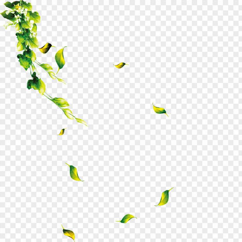 Green Leaves Download Computer File PNG