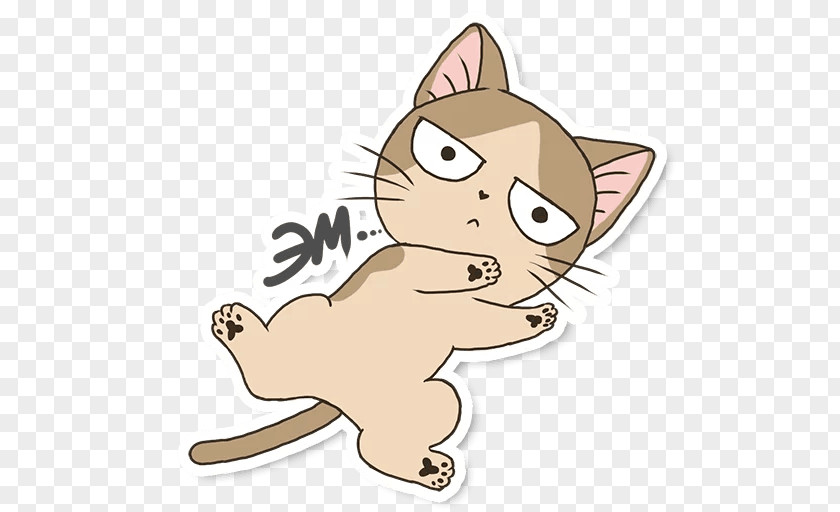 Kitten Whiskers Cat Sticker Telegram PNG