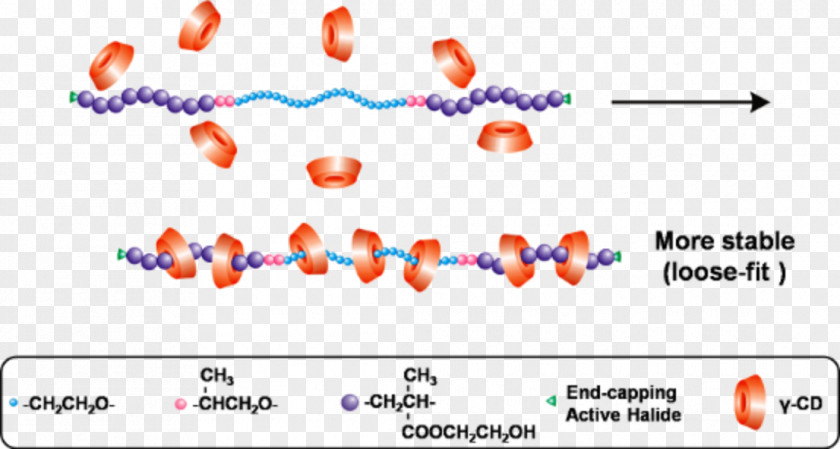 Atom Transfer Radical Polymerization Copolymer NOESY Polyhydroxyethylmethacrylate PNG