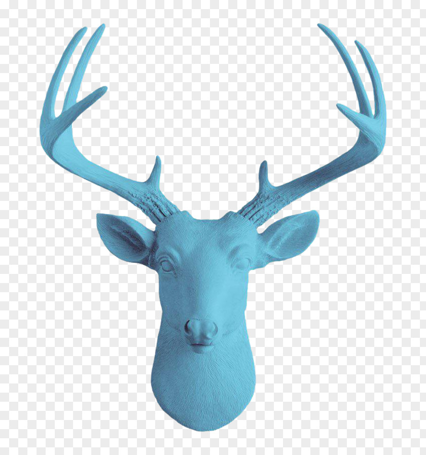 Deer White-tailed Antler MINI Bison PNG