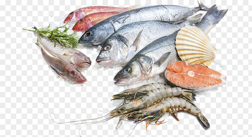 Fish Sustainable Seafood Processing Salmon PNG