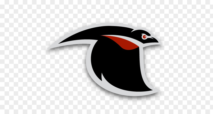 Logo Common Blackbird Fat Freddy's Drop Baltimore Blackbirds PNG