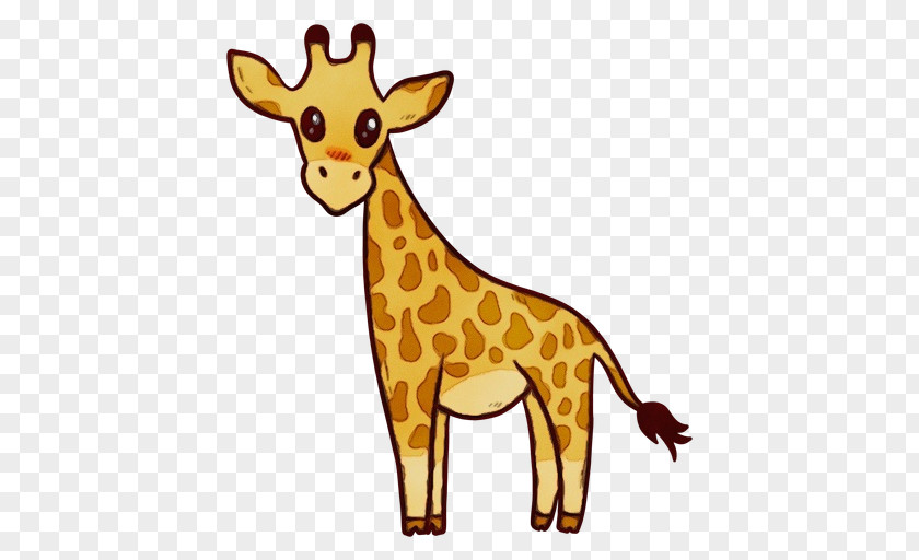 Snout Deer Giraffe Giraffidae Terrestrial Animal Wildlife Yellow PNG