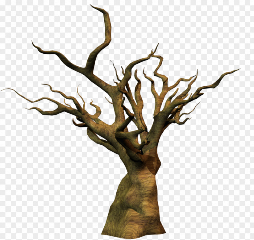 Wood Twig Trunk Tree Snag PNG